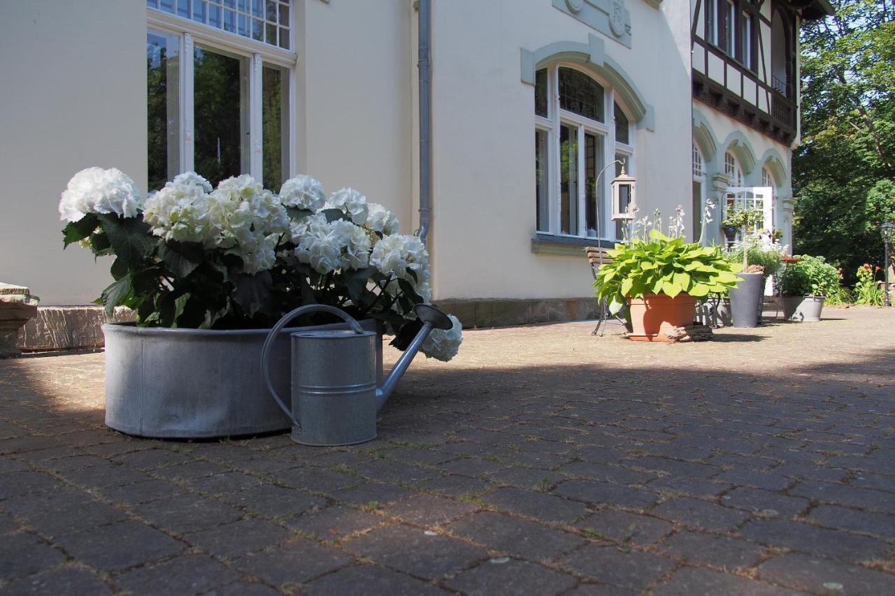 Hotel Schlossvilla Derenburg Экстерьер фото
